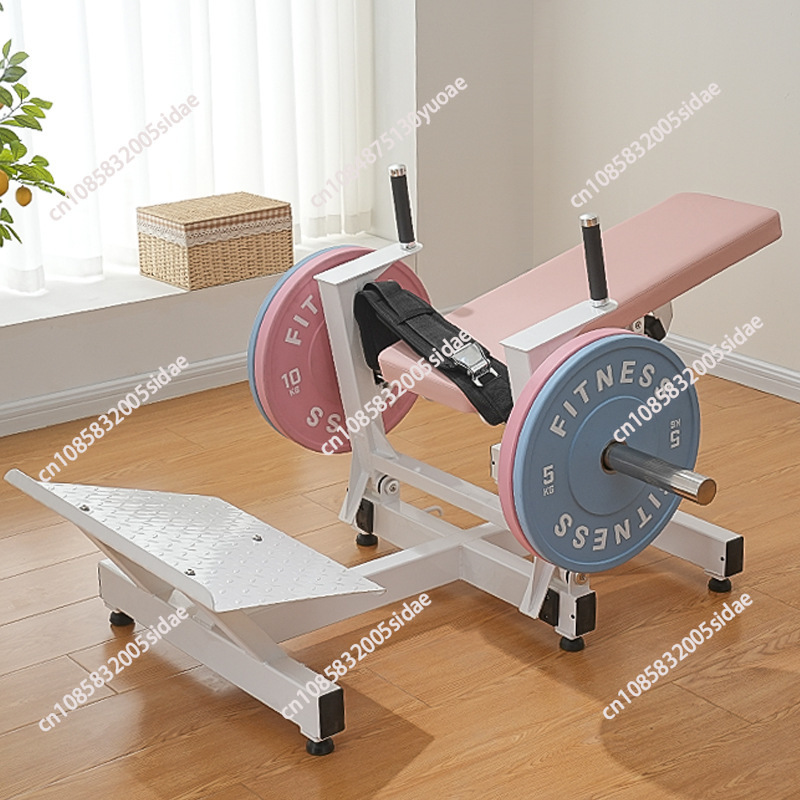 여성용 힙 트러스트 브리지 엉덩이 모양 교정 피치 피트 - Sports Equipment Gym 리뷰 및 가격